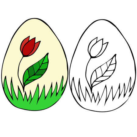 Easter egg with botanical painting. Flower in the grass. Color and outline version. Hand drawn doodle vector illustration. Coloring book, designのイラスト素材