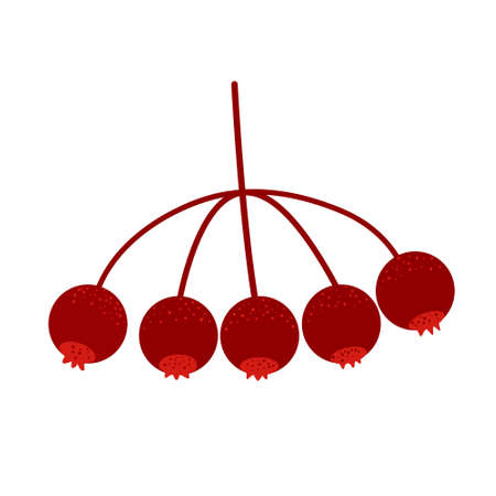 Bunch of rowan berries, cartoon vector illustration in flat style. Single design element