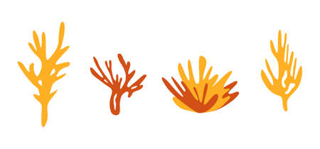 Coral set. Simple hand drawn sea element. Vector illustrationのイラスト素材