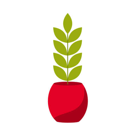 Indoor plant in a red flowerpot. Potted garden plant for transplanting into soilのイラスト素材
