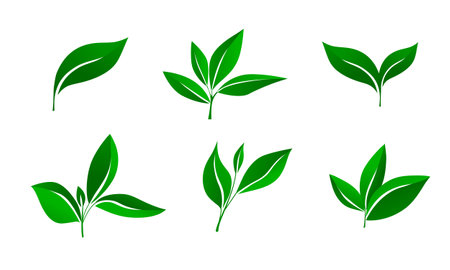 Set of isolated leaves, sprouts and twigs. Environmental protection concept, ecologyのイラスト素材