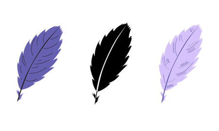 Simple feathers. Logo, icon black and coloredのイラスト素材