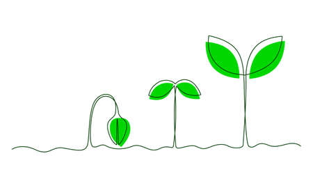 One continuous line of plant growth stages. The concept of environmental protection, Earth Dayのイラスト素材