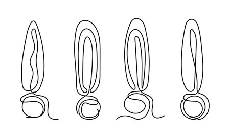 Continuous one line exclamation mark. Set of line art exclamation mark. Warning sign, attention signのイラスト素材