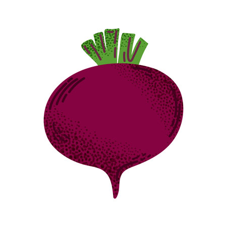 Whole red beetroot with green top. Simple flat style with textured shading. For food, farm, and healthy eating designs. Vector illustrationのイラスト素材