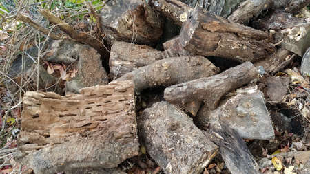A Pile of Wood