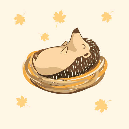 Hedgehog Cartoon Sleep at Nest Porcupine Cute Animalsのイラスト素材