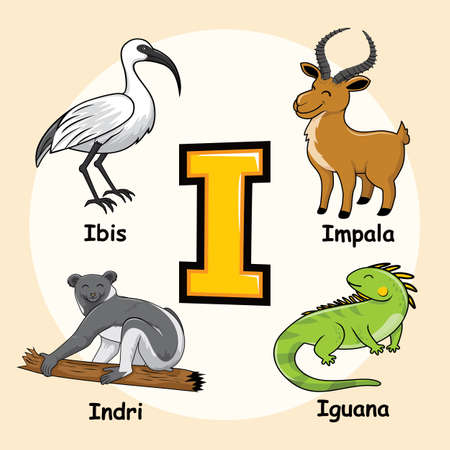 Cute Animals Alphabet Letter I for Iguana Ibis Impala Indriのイラスト素材