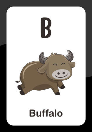 Animal Alphabet Flash Card - B for Buffaloのイラスト素材