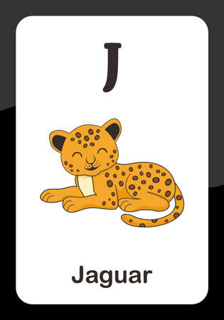 Animal Alphabet Flash Card - J for Jaguar Vector Imageのイラスト素材