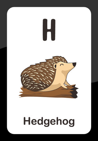 Animal Alphabet Flash Cards - H for Hedgehog Vector Imageのイラスト素材