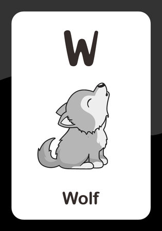 Animal Alphabet Flash Card - W for Wolfのイラスト素材