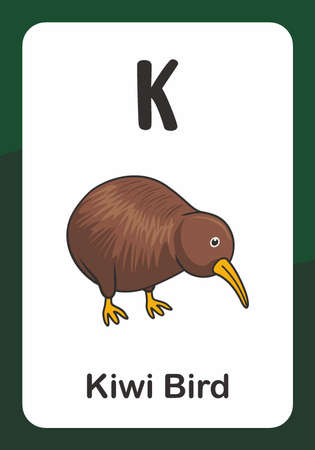 Animal Alphabet Flash Card - K for Kiwi Birdのイラスト素材