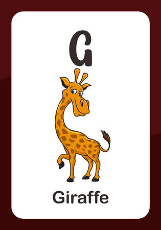 Animal Alphabet Flashcard - G for Giraffeのイラスト素材