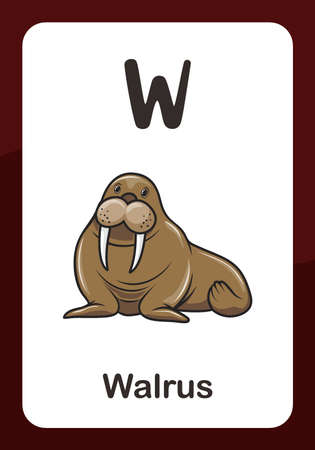 Animal Alphabet Flashcard - W for Walrusのイラスト素材