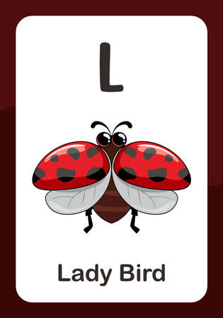 Animal Alphabet Flashcard - L for Lady Birdのイラスト素材