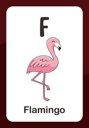 Animal Alphabet Flashcard - F for Flamingoのイラスト素材