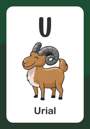 Animal Alphabet Flash Card - U for Urialのイラスト素材