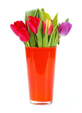 Colorful tulips in orange vase on white backgroundの写真素材