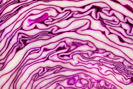 Texture of red cabbage cut in halfの写真素材
