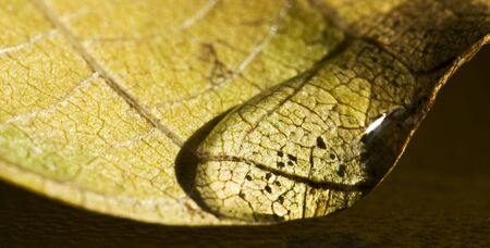 Close up on a water dropの写真素材