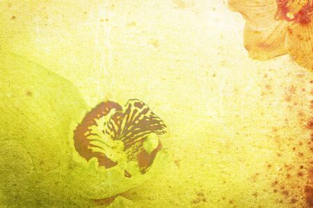 Vintage paper background with flowersの写真素材