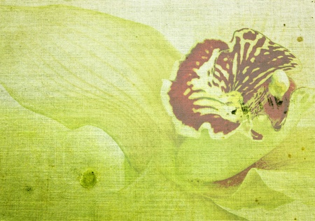 Textile texture with flowersの写真素材