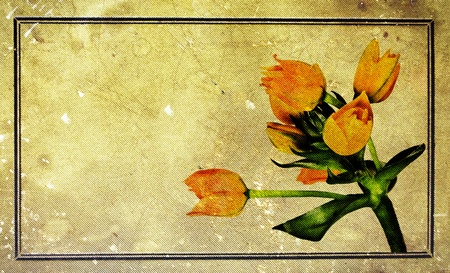 Vintage tulips 