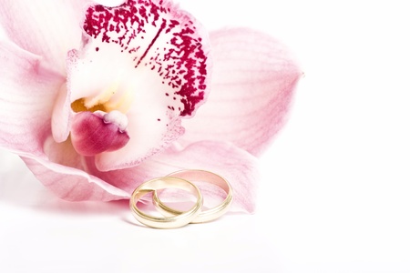 Pink orchid and wedding ring isolated on white の写真素材