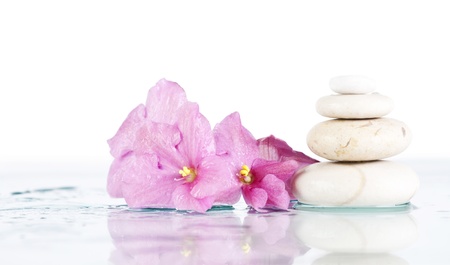 Spa stones and pink flower on whiteの写真素材