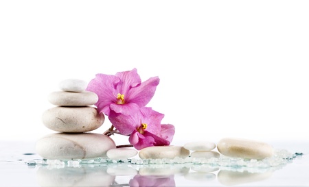 Spa stones and pink flower on white