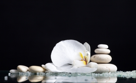 Spa stones with orchid flower の写真素材