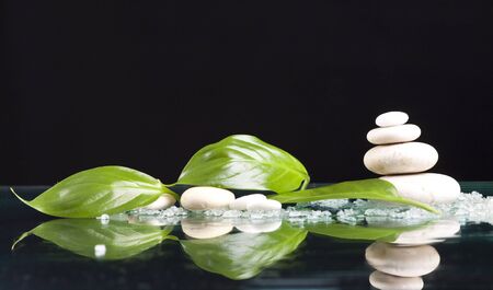 Spa stones and green leaves の写真素材