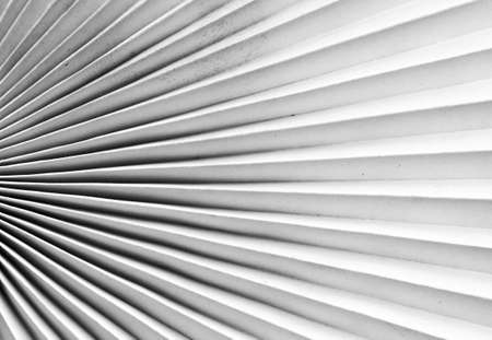 Vintage paper background - old fanの写真素材