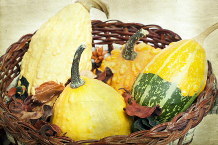 Autumn concept - Pumpkins on wooden vintage の写真素材