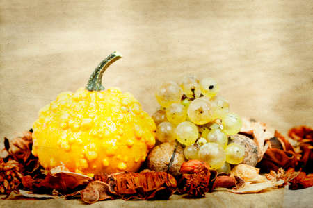 Autumn concept - Pumpkin and grapes on vintage autumn の写真素材
