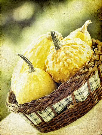 Autumn concept - pumpkins in basket and colorful autumn backgroundの写真素材