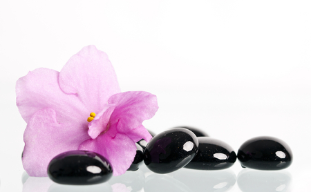 Black spa stones and pink flower on white background の写真素材