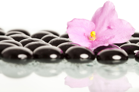 Black spa stones and pink flower on white background の写真素材