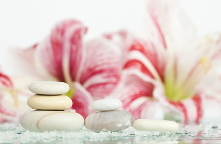 Spa stones and pink lilly flower on white backgroundの写真素材