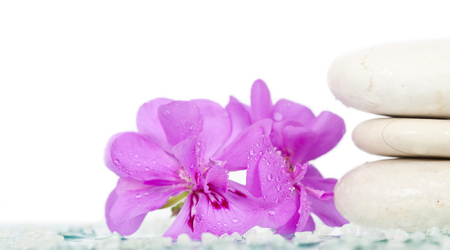 Spa stones and pink flower on white backgroundの写真素材