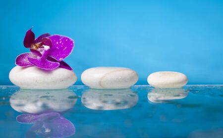 Spa still life with pink orchid and white zen stone