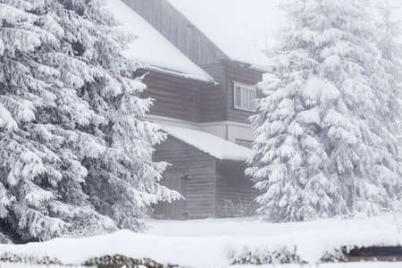 Winter landscape with snowy fir trees and mountain cottageの写真素材