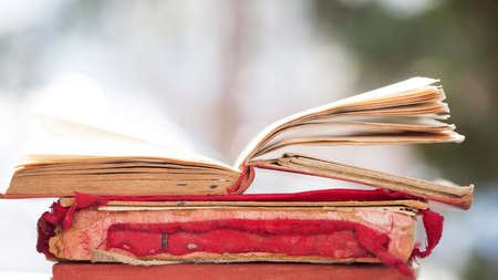Open book