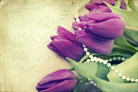 Old love letters and purple tulips. Retro style toned pictureの写真素材