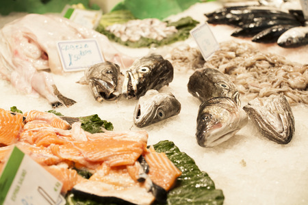 Fresh seafood exposed at the fish market