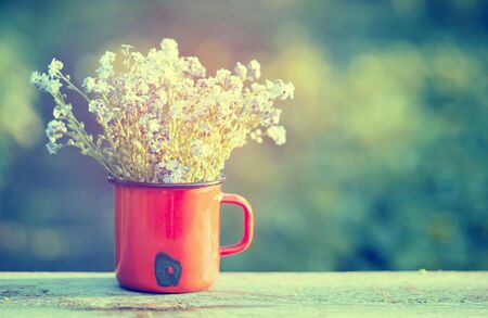 Retro summer background with forget me not flowers in a jar on wooden backgroundの写真素材