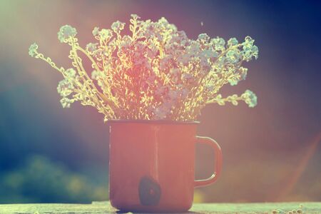 Retro summer background with forget me not flowers in a jar on wooden backgroundの写真素材
