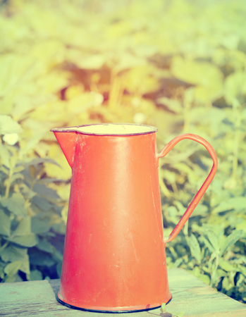 Iron pitcher in the style of Provence with silky pink peoniesの写真素材