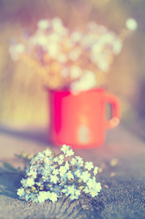 Retro summer background with forget me not flowers in a jar on wooden backgroundの写真素材